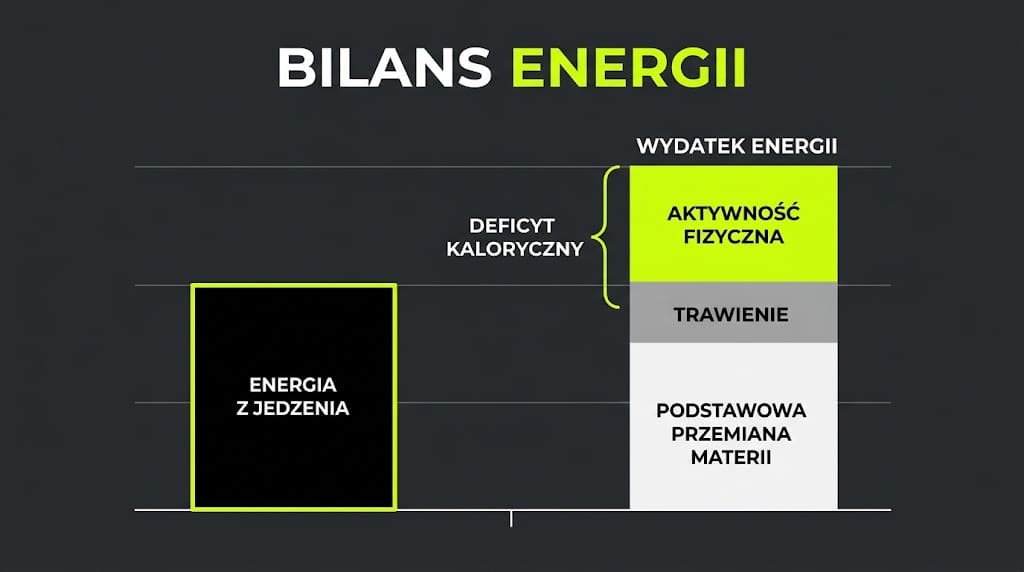 Schemat bilansu energii: po lewej słupek „energia z jedzenia”, po prawej wyższy słupek „wydatek energii” podzielony na trzy części – podstawowa…