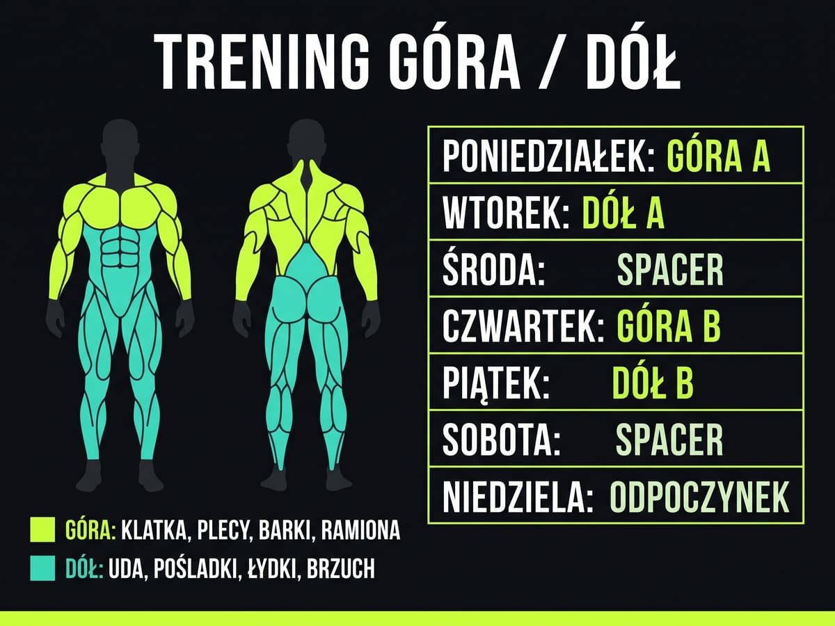 Podział ciała na górę i dół w planie split na 4 dni
