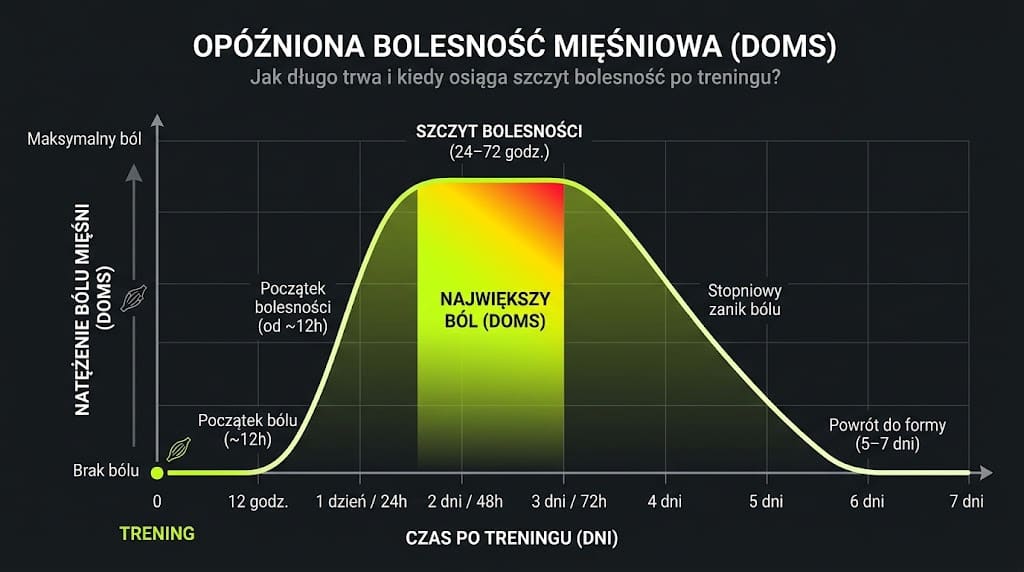 Wykres: oś pozioma to czas po treningu od 0 do 7 dni, oś pionowa to natężenie bólu mięśni